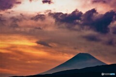Sleep tight.Fuji
