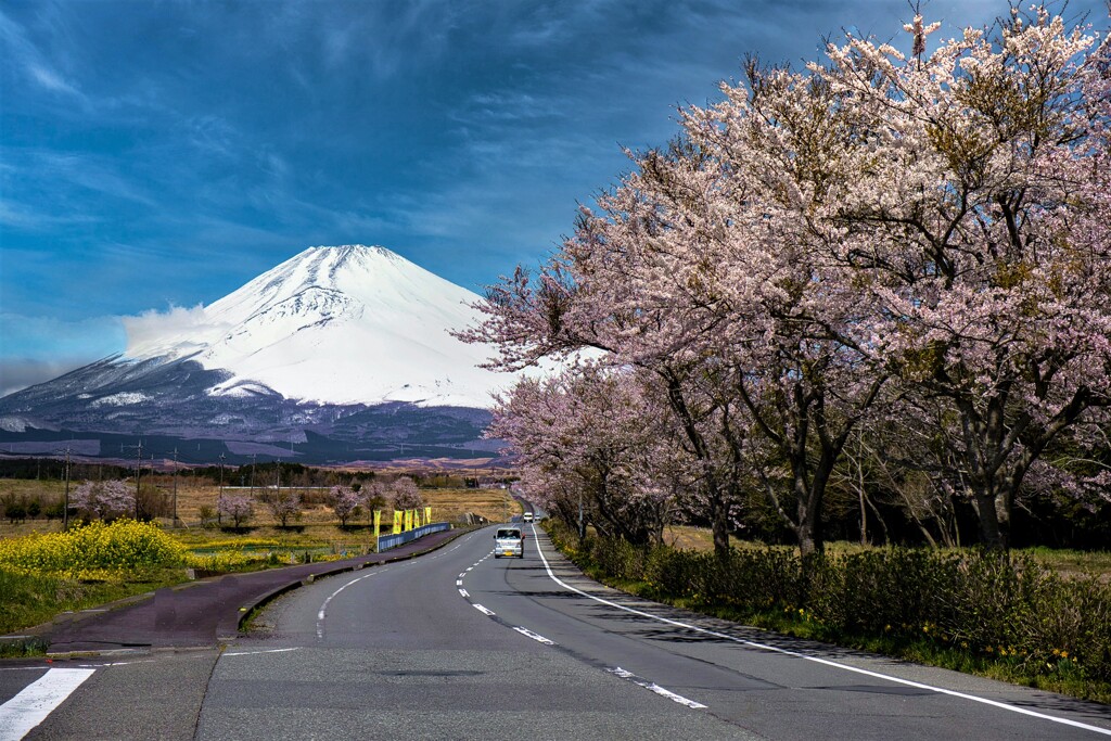 パノラマロード