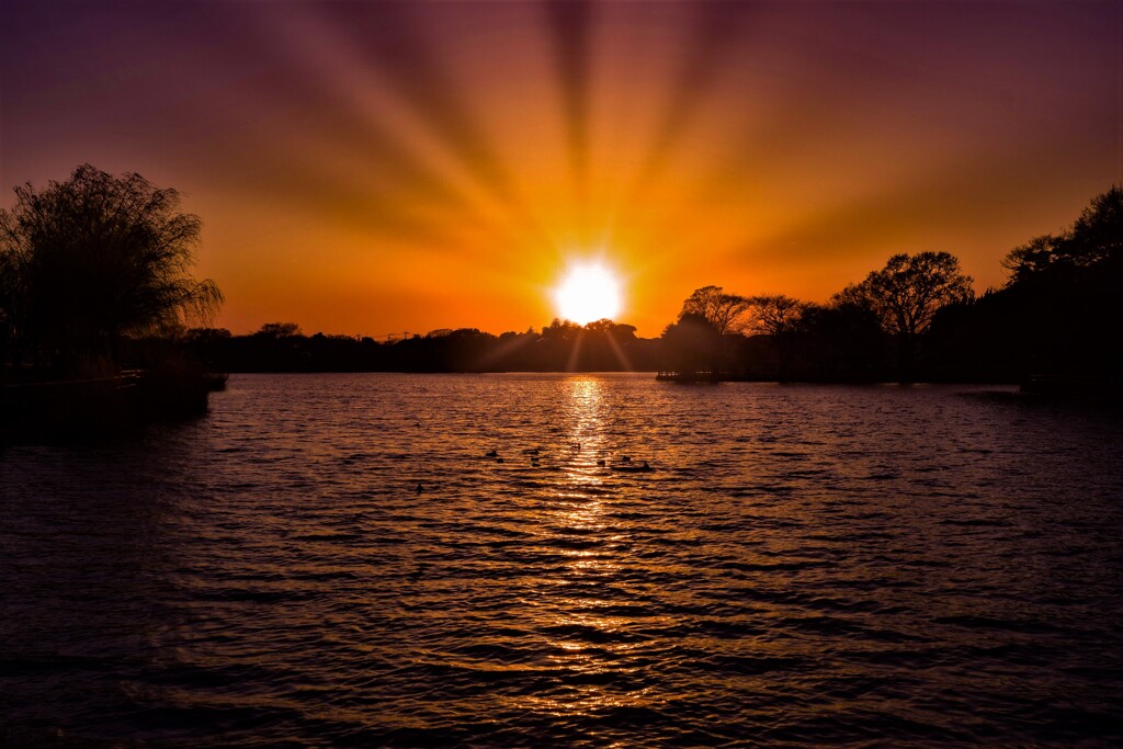sunrise to sunset