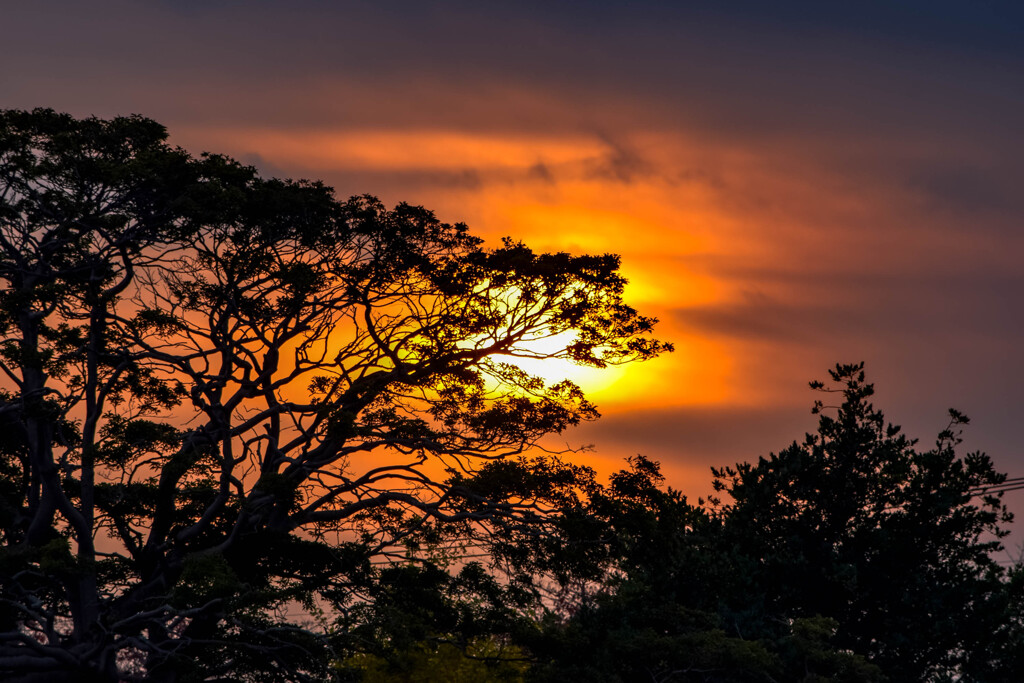 夕陽のシルエット