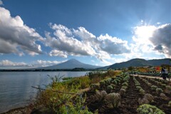 春の湖畔