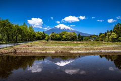 田植えの準備