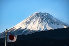 Japanese Icon
