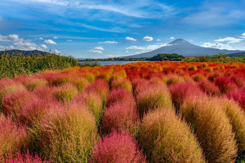autumn colors
