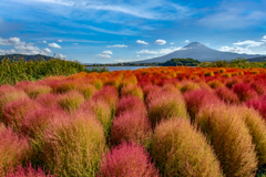 autumn colors