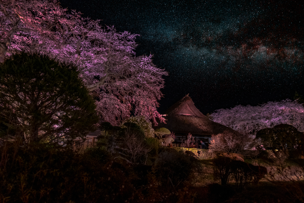 秩父宮記念公園の夜