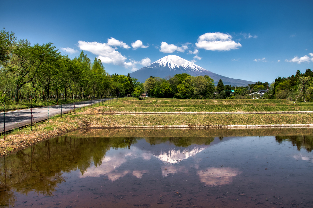 水田水入れ