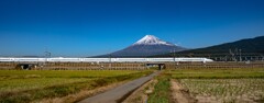 春を征く