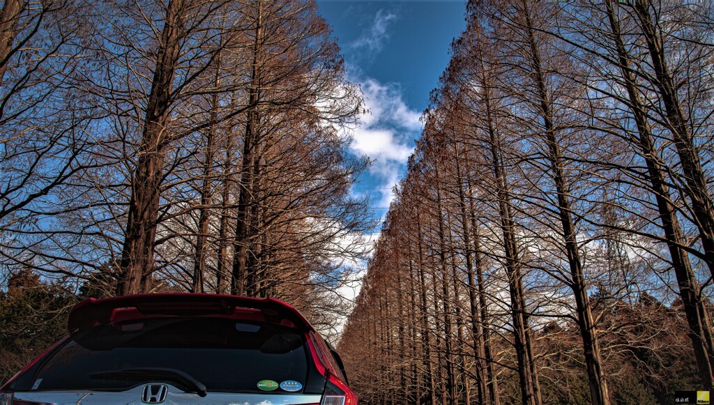 Drive fall