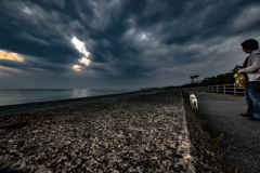 愛犬散歩 Cloudy Beach