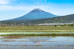 Ｕターン超特急