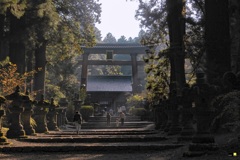 神域の光彩