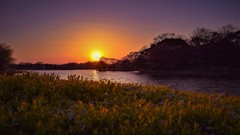 Sunset Lake