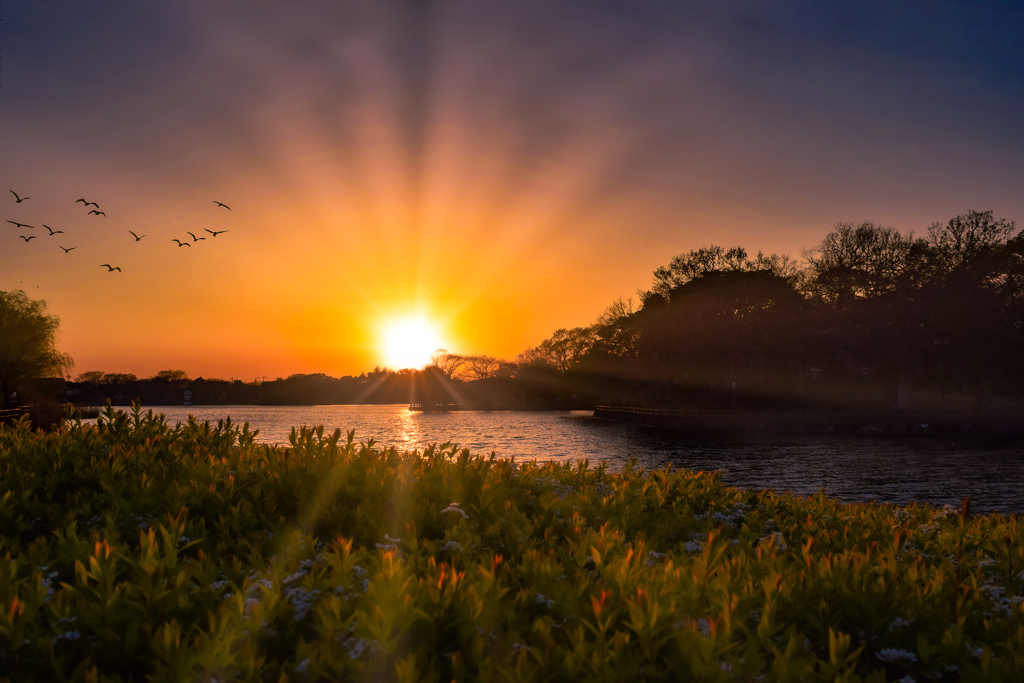 Sunset Lake