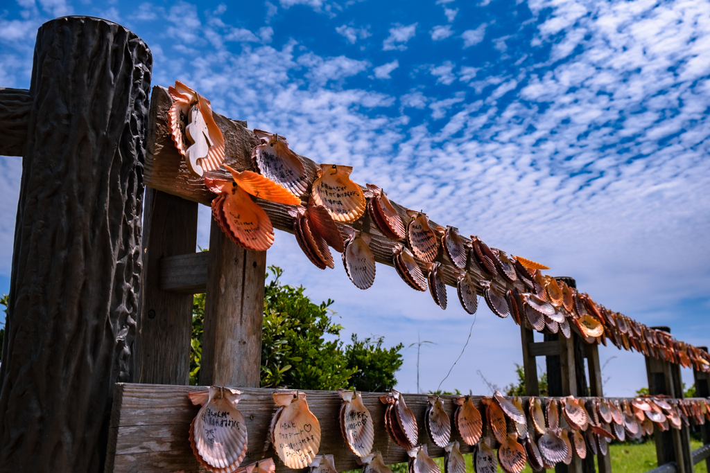 誓いの貝殻たち