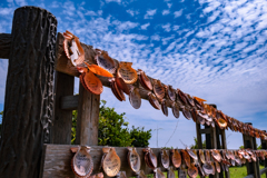 誓いの貝殻たち