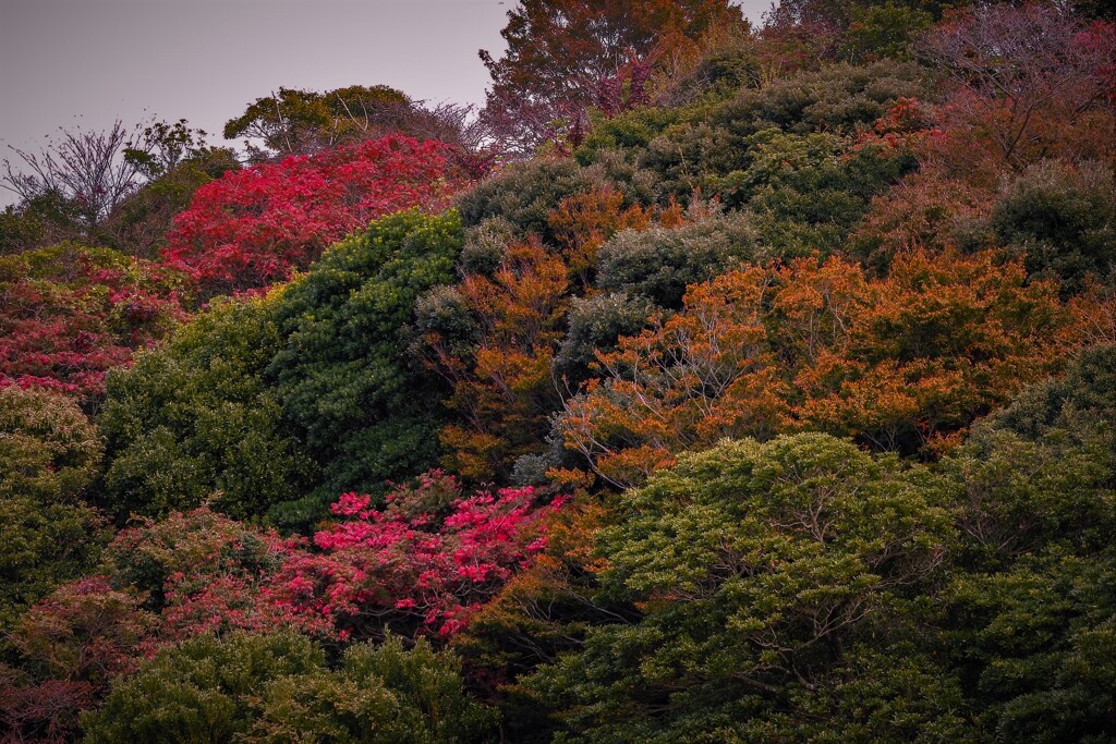 １１月のパッチワーク