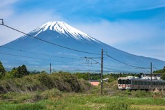 田園電車