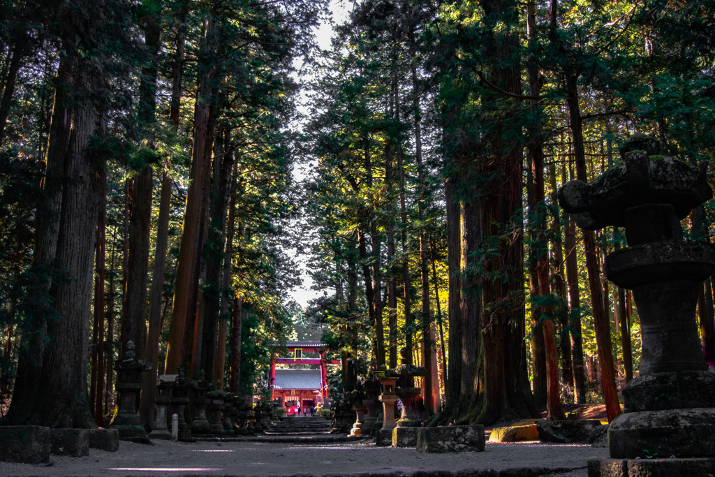 世界遺産「せんげんさん」