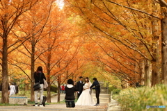 autumn start