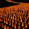 増上寺 七夕祭り 和紙キャンドルナイト2018