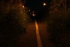 シンメトリー？
