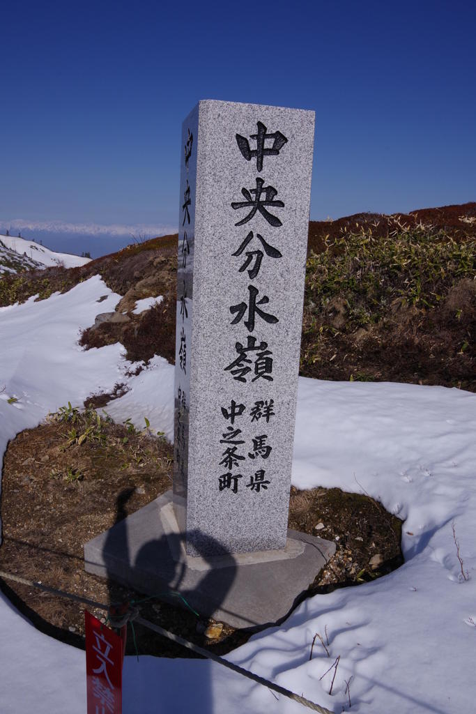 IMGP7501