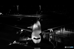 羽田空港　白黒飛行機