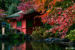 紅葉