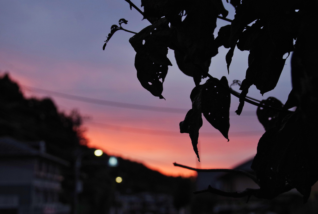 夜明け