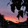 夜明け