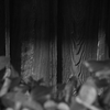 IMGP9150_L1