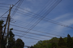 チェック
