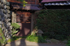 IMGP8271