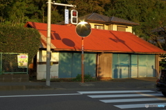 だいぶ影がのびてきました