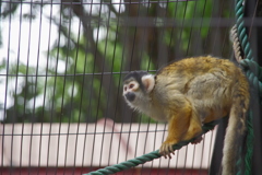 ん？