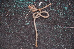 知恵の輪？・・・縄