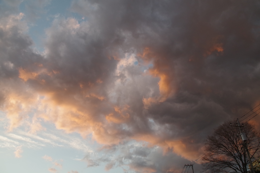 夕暮れ