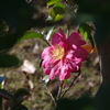 P7518＃50㎜一旦休憩1