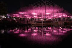 水面鏡