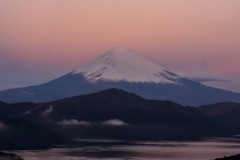 来る！
