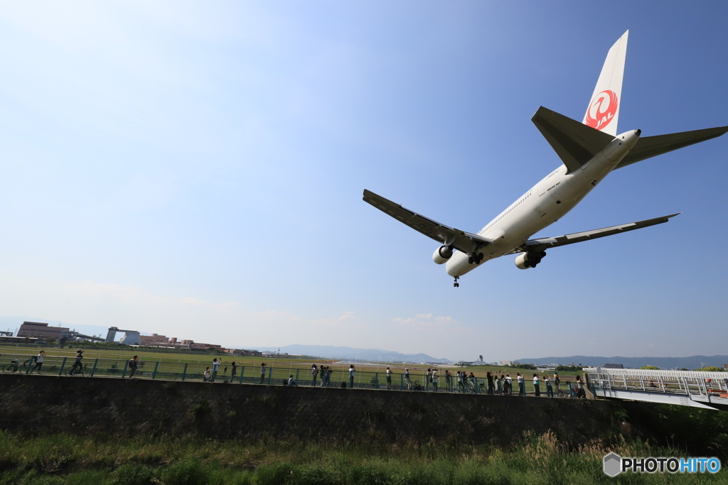 伊丹空港の千里川土手にて