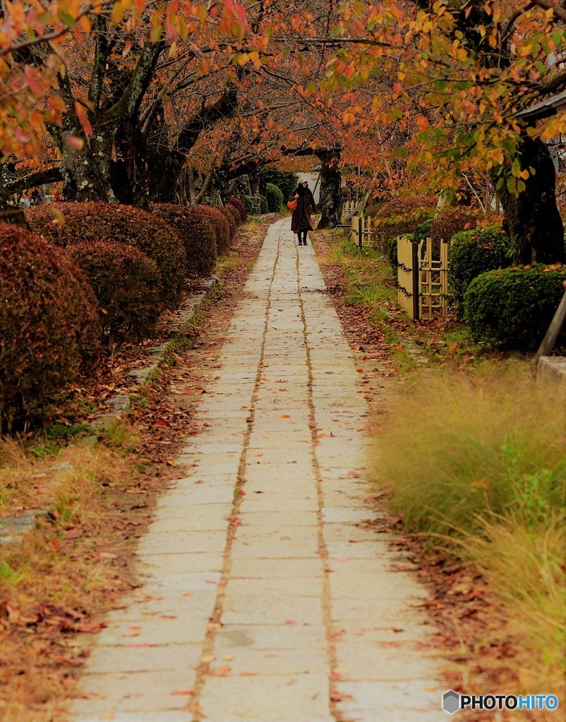 それぞれの哲学