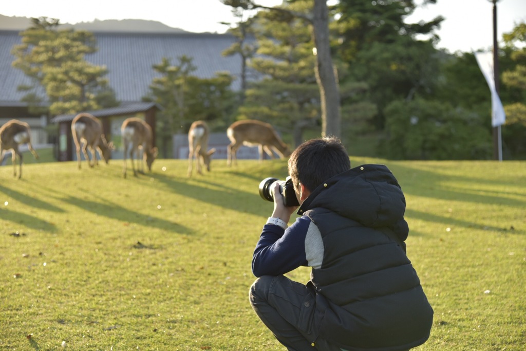 息子も奈良公園デビュー