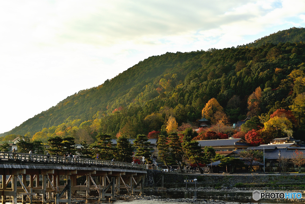 年中愛される山