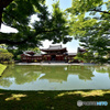 新緑と平等院
