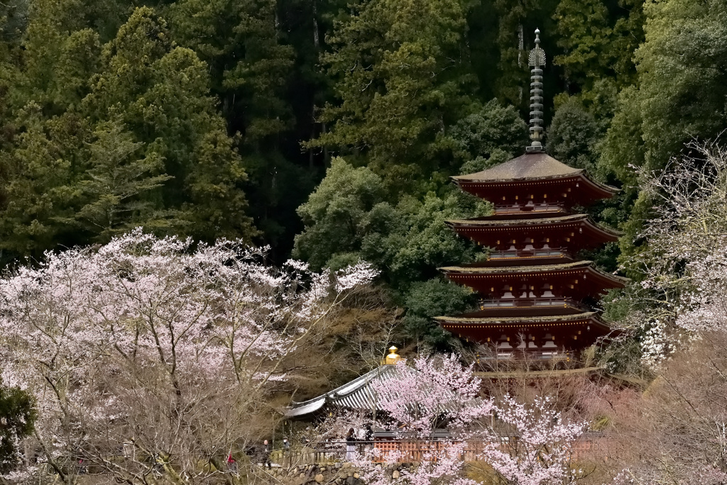 昭和の名塔②