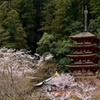 昭和の名塔②
