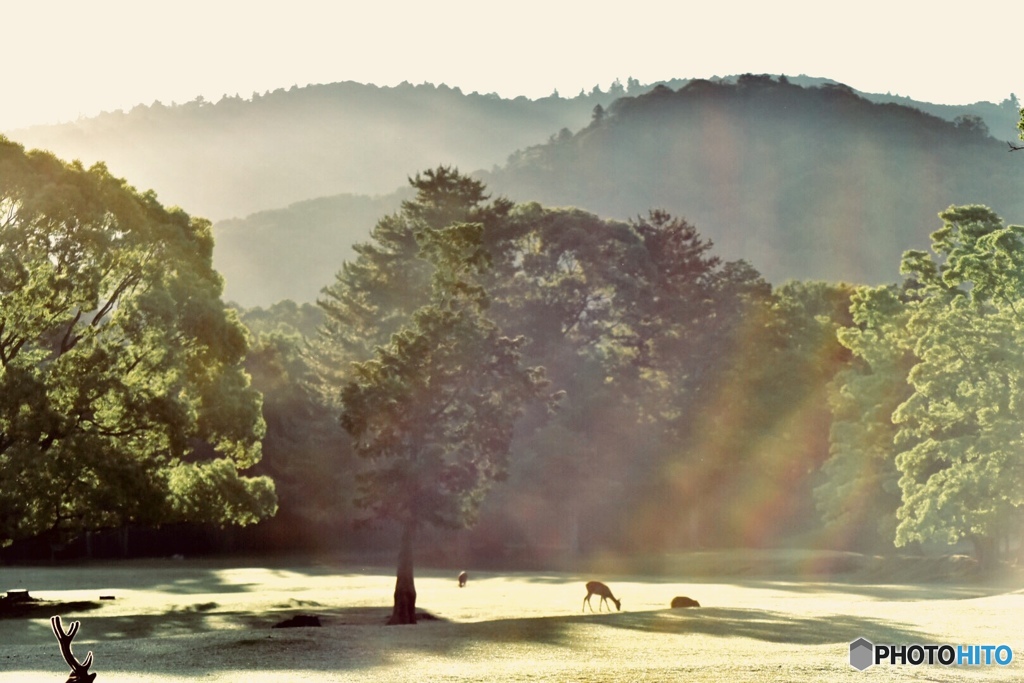 Refreshing morning