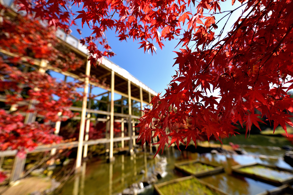 一年で最高の気候